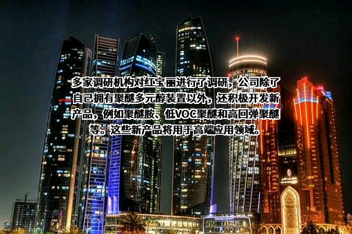 红宝丽集团股份有限公司
