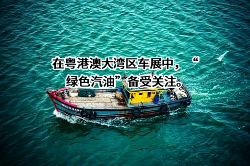 中国石油化工集团有限公司