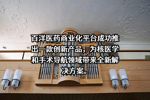 广东瑞迪奥科技有限公司