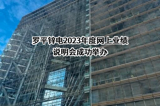 云南罗平锌电股份有限公司