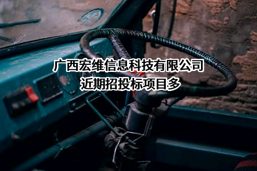 广西宏维信息科技有限公司