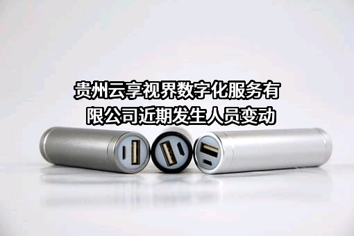 贵州云享视界数字化服务有限公司