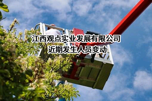 江西观点实业发展有限公司