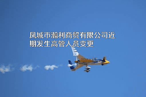 凤城市瀚利商贸有限公司