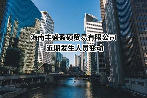 海南丰盛盈硕贸易有限公司