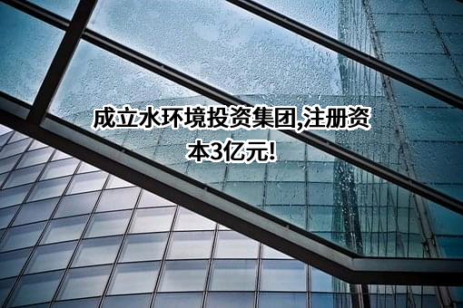 东方市水环境投资集团有限公司