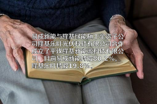 隆基乐叶光伏科技有限公司