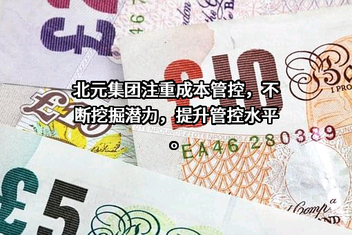 陕西北元化工集团股份有限公司