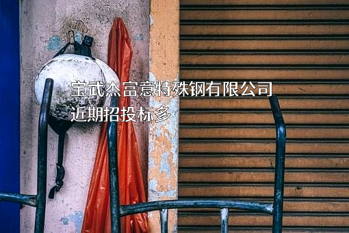 宝武杰富意特殊钢有限公司