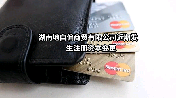 湖南地自偏商贸有限公司