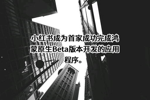 华为技术有限公司