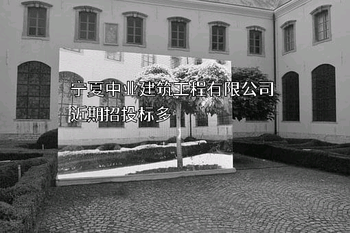 宁夏中业建筑工程有限公司