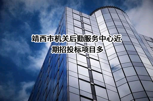 靖西市机关后勤服务中心