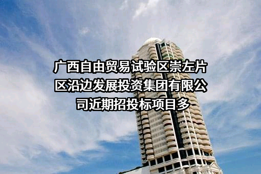广西自由贸易试验区崇左片区沿边发展投资集团有限公司
