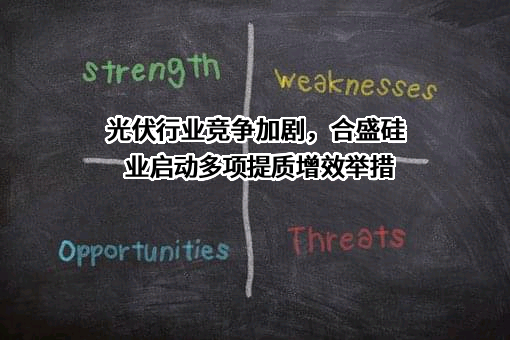 合盛硅业股份有限公司