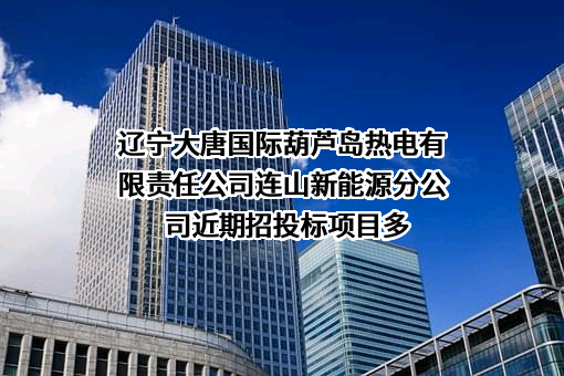 辽宁大唐国际葫芦岛热电有限责任公司连山新能源分公司近期招投标项目多