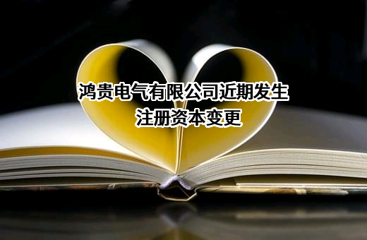鸿贵电气有限公司