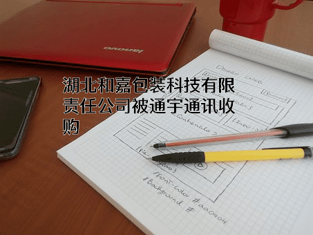 湖北和嘉包装科技有限责任公司