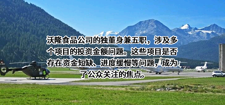 青岛沃隆食品股份有限公司