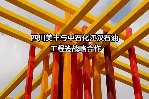 四川美丰化工股份有限公司