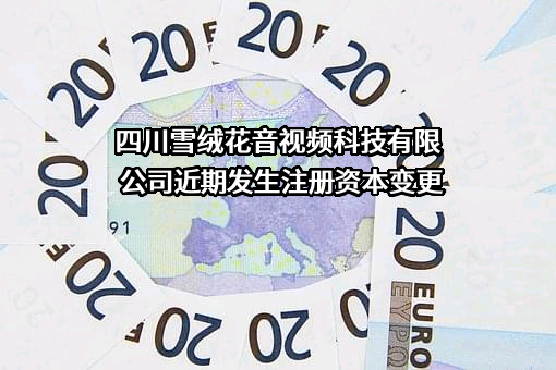四川雪绒花音视频科技有限公司