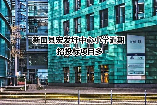 新田县宏发圩中心小学近期招投标项目多