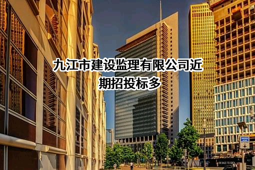 九江市建设监理有限公司