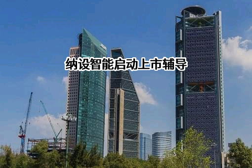 深圳市纳设智能装备有限公司