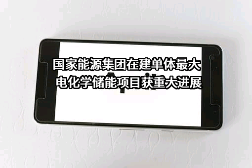 国家能源投资集团有限责任公司