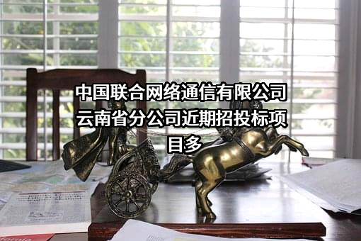 中国联合网络通信有限公司云南省分公司