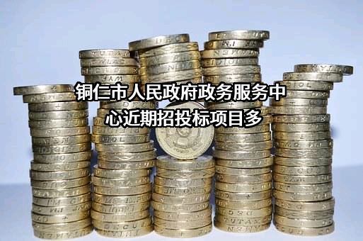 铜仁市人民政府政务服务中心