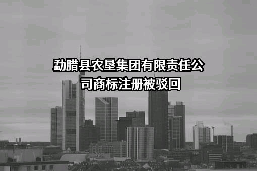 勐腊县农垦集团有限责任公司商标注册被驳回