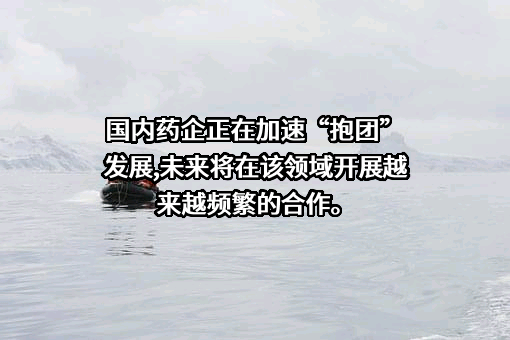 石药控股集团有限公司