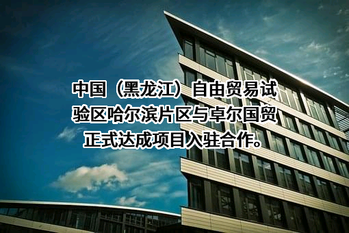 卓尔国际贸易集团有限公司