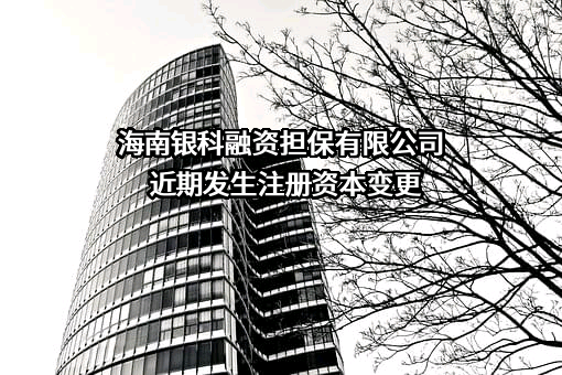 海南银科融资担保有限公司
