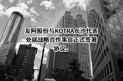 湖南友谊阿波罗商业股份有限公司