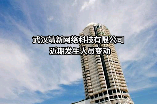 武汉靖新网络科技有限公司
