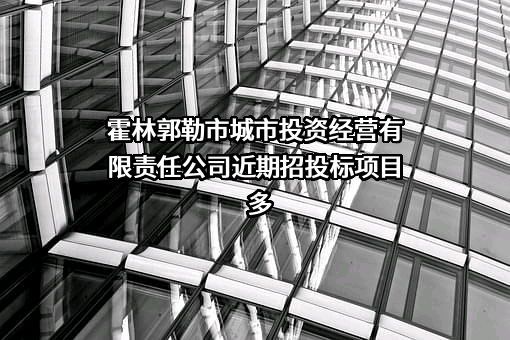 霍林郭勒市城市投资经营有限责任公司