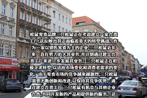 三只松鼠股份有限公司