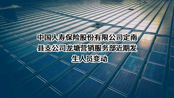 中国人寿保险股份有限公司定南县支公司龙塘营销服务部