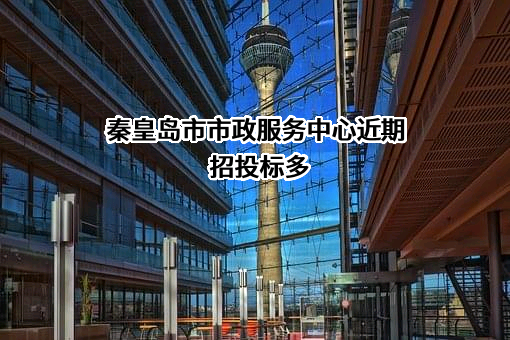 秦皇岛市市政服务中心近期招投标项目多