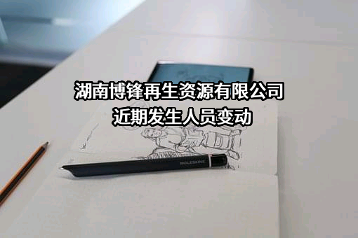 湖南博锋再生资源有限公司