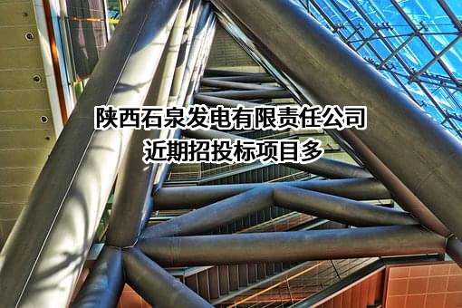 陕西石泉发电有限责任公司