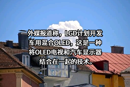 乐金显示光电科技（中国）有限公司