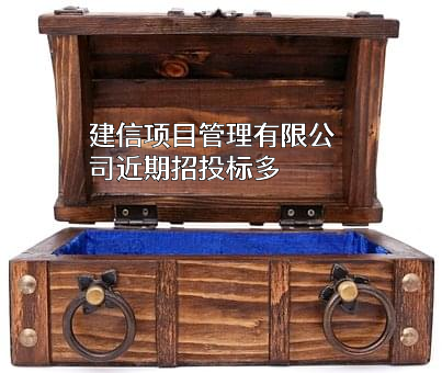 建信项目管理有限公司