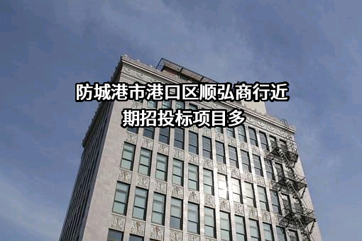 防城港市港口区顺弘商行近期招投标项目多