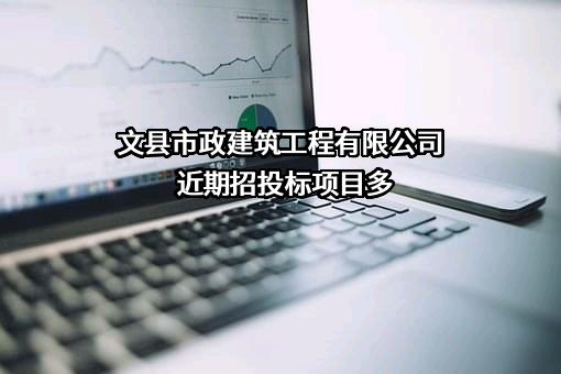 文县市政建筑工程有限公司近期招投标项目多