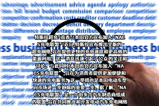 特斯拉（上海）有限公司