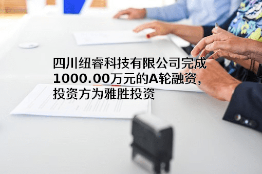 四川纽睿科技有限公司