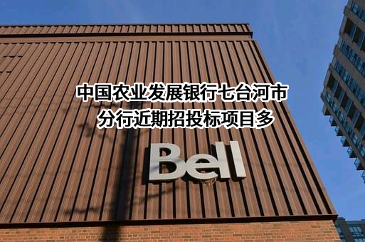 中国农业发展银行七台河市分行